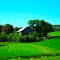 Country Barn