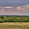 Parkhill Prairie Preserve