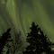 Aurora Borealis, Overhead, Fairbanks North Star Borough, Alaska