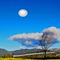  PAISAJE DE LA SABANA  DE BOGOTA COLOMBIA