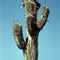 USA, Phoenix in Arizona, May 1990