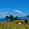 Pradera en Pueblo viejo