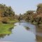 Sutter Bypass Slough