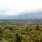Paisaje de orito