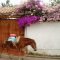 Tibasosa - Boyacá - Colômbia