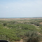 Matorral de espinos, al fondo Bahía Portete.