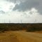 ALTA GUAJIRA