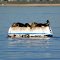Seals