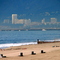 Dockweiler Beach,LA, Ca.