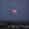 Luna Roja