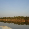 DSC01517