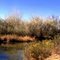 Arkansas River