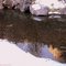 Reflections in creek, Phantom Canyon