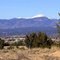 Purple Mountains Majesty (courtesy of joyfotos)