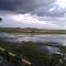 Estero "Los tres moriches"