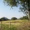 Vereda Malachi