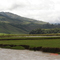 Rio Pabon