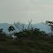 Panorámica Bajo Magdalena