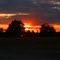 Sunset - Ocoee, Florida