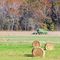 Brown County Fall Harvest