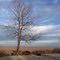 Brown County State Park, Indiana