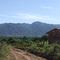 Tobacco farming in Valle Abajo