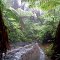 Amboró National Park