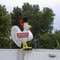 Chicken in top hat