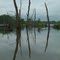 rock creek marsh