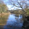 Tangipahoa River at Carpenter's Landing, downstream