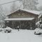 Snowing Dec 11, 2008