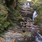The Cascade