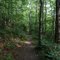 The Hopper trail Mt. Greylock state reservation Lanesborough Mass.