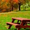 Williams College on Saturday afternoon