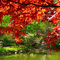 Japanese Garden