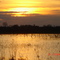 Atardecer Beniano San Ignacio de Moxos