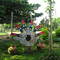 Arajuruana Icon