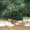 Arroyo de límpidas aguas