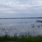 View of Pearl Lake