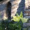 Lilies and Chapel Window, Grasshopper Chapel, July 2010