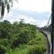 Tren de la muerte 01/01/2011