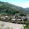 Guanay