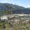 guanay desde arriba
