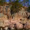 Castor Shut-ins