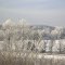 Winter Scene.