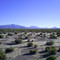 Sur Lipez, 2006