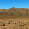 Altiplanic Landscape