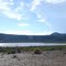 Cumulopuntia boliviensis an Laguna Agua y Castilla