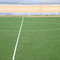 stadium Marcial Mendoza (Lahuachaca)