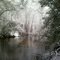 Snowday on Rockfish Creek